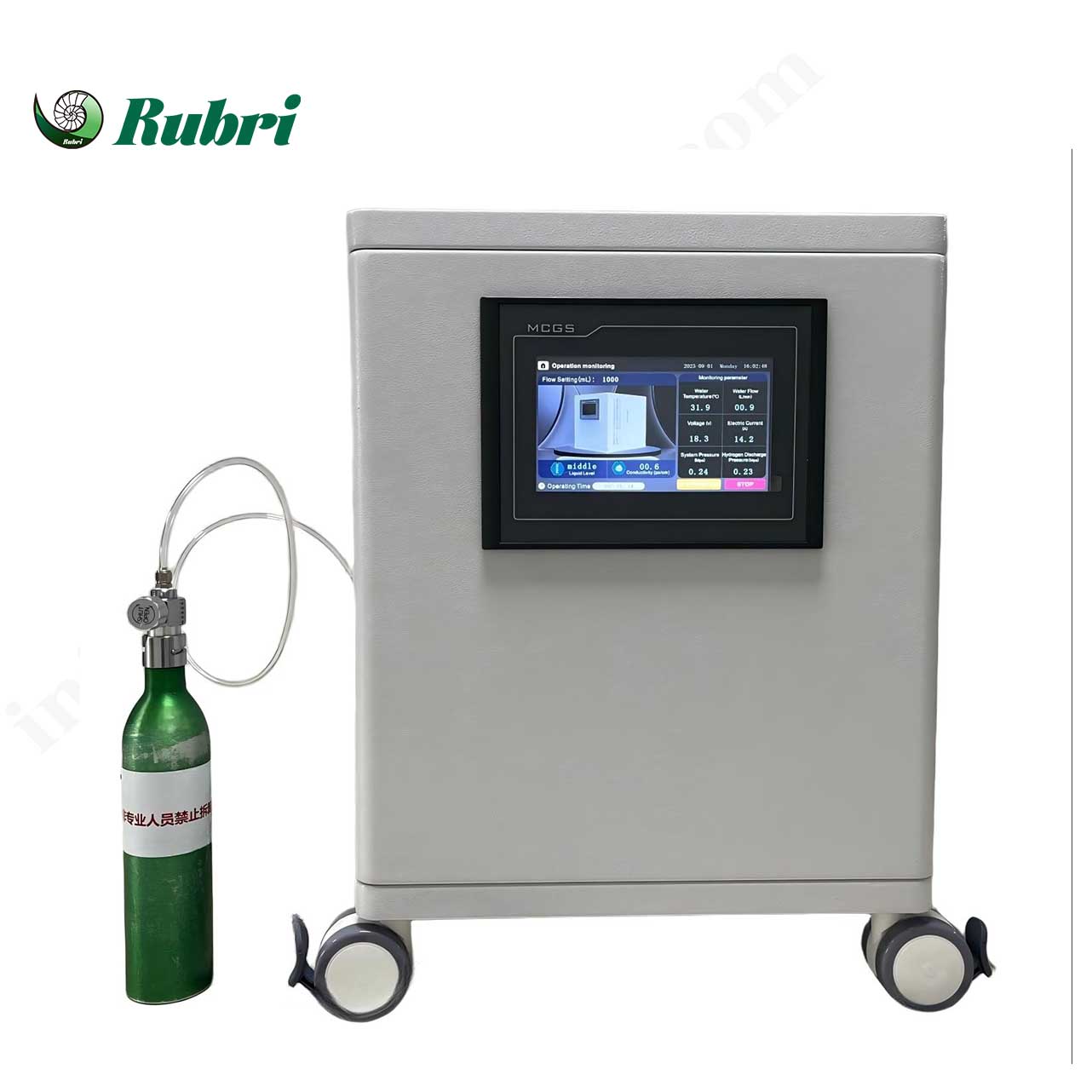 Generatore di idrogeno PEM piccolo Rubri-P3-1000